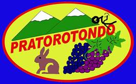 Descrizione: Descrizione: Descrizione: Descrizione: ADESIVO